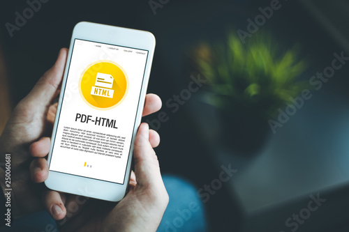PDF-HTML CONCEPT ON SCREEN