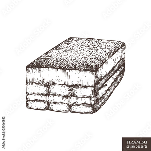 Hand drawn Tiramisu illustration on white background. Vector Italian cake drawing. Vintage desserts sketch.