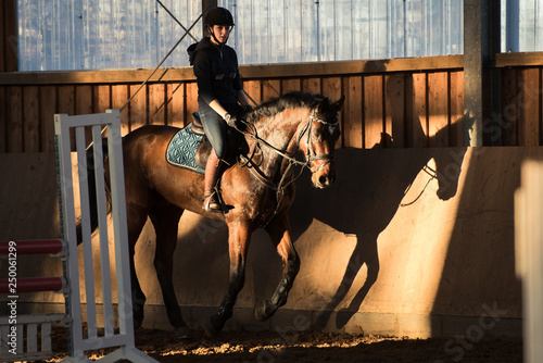 Galopp in der Reithalle photo