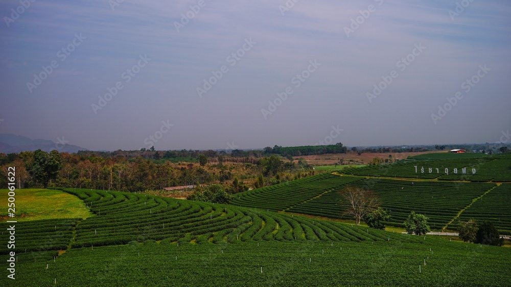 panoramic view of countryside