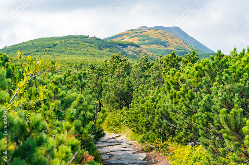 Fototapeta Naklejka Na Ścianę i Meble -  View from Babia Gora or Babi Hora, the highest summit in Beskids mountains in Poland and Slovakia border