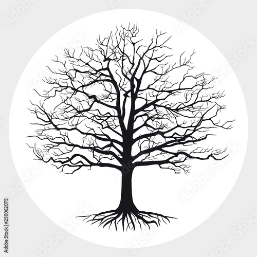 Black silhouette of a bare tree . Vector illustration.