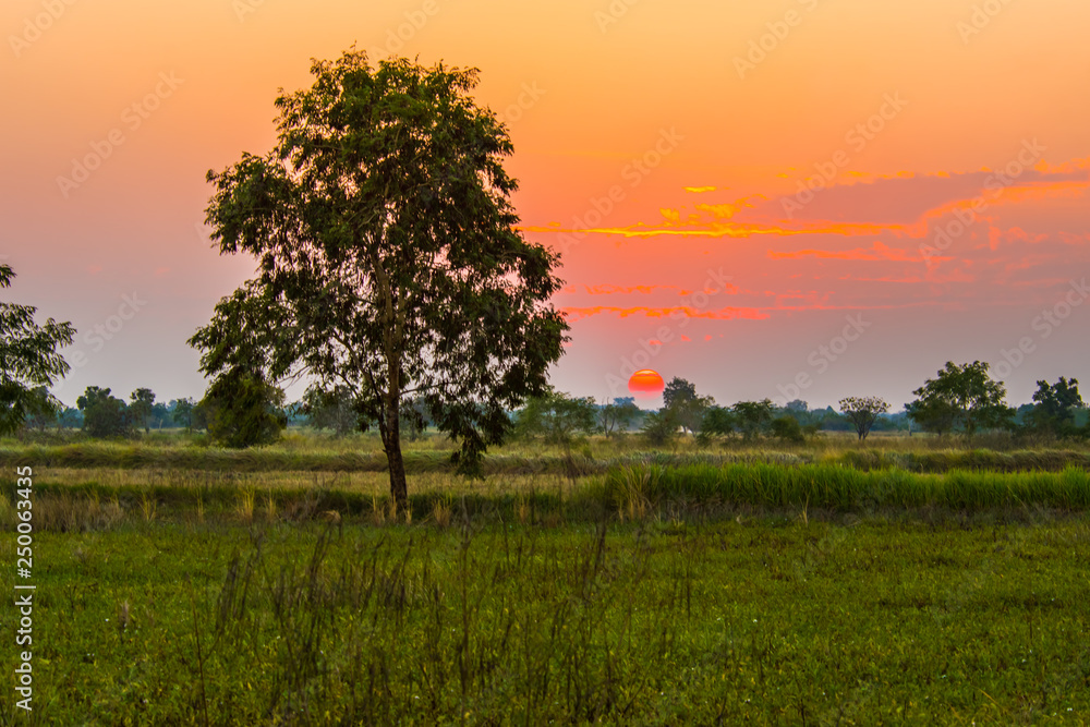 Fototapeta premium Beautiful sunsets in the countryside.3