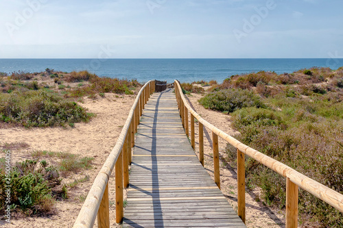 Wooden pathway over dunes and pines at beach in Punta Umbria  Huelva. Los Enebrales beach