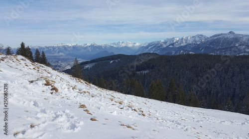 Wallpaper Mural Wald und Schnee Torontodigital.ca