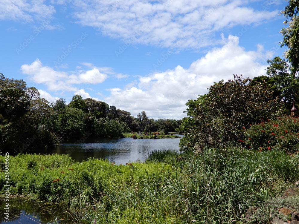 Garden with lake and trees