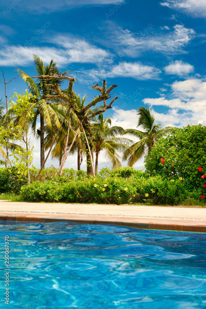 Obraz premium View of palm trees and blue sky from the crystal clear pool. Hainan. 