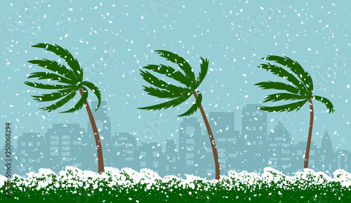 Analamic snow storm Grayson in the USA. Frost and snow in the south. palm trees in the snow. flat vector illustration
