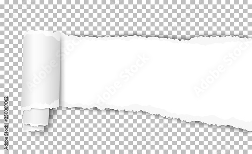 Vector white torn wisp of paper with curl and shadow placed on transparent background