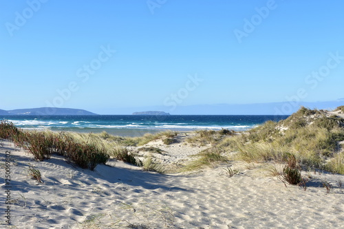 Wild beach with sand dunes and grass. Blue sea with waves and white foam, clear sky, sunny day. Galicia, Spain.