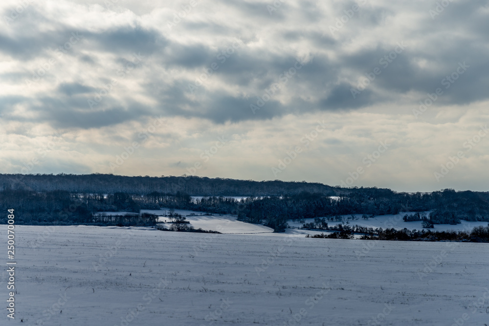 Paysage de neige près d'une forêt en Moselle Paysage de neige près d'une forêt en Moselle