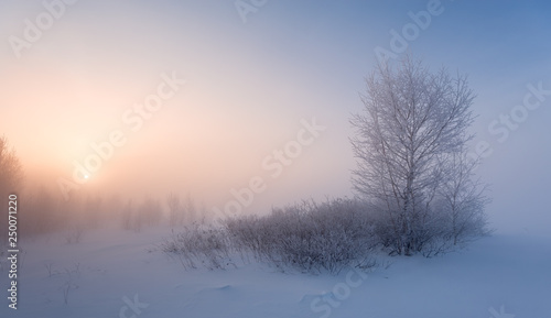 heavy fog on a frosty winter morning © Alexander Gogolin