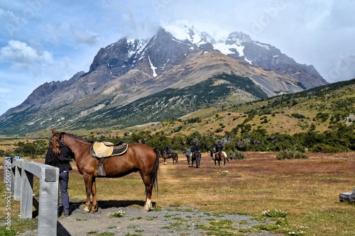 Horses in Torres del Paine