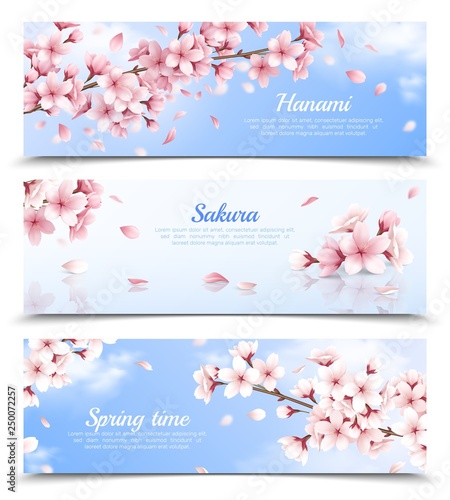 Sakura Banners Set