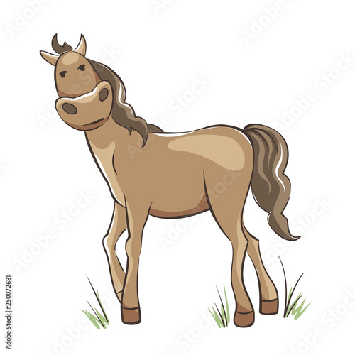 Horse   Funny vector illustration  cheerful animal