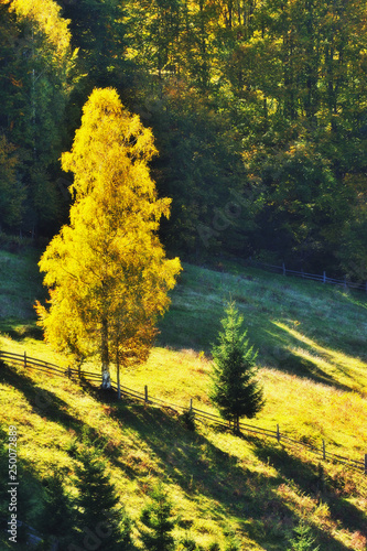 autumn evening in the Carpathian mountains. scenic sunset