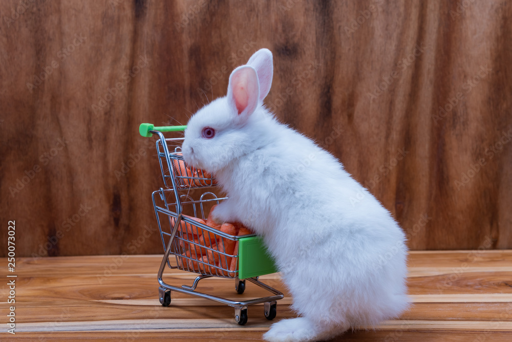 Obraz premium A little rabbit with white fur, long ears on a wooden floor and a carrot vegetable in a small shopping cart, to animal concept.