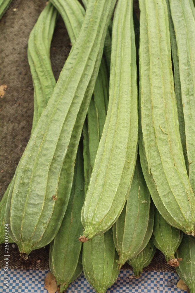 Obraz premium luffa acutangula for cooking at street food