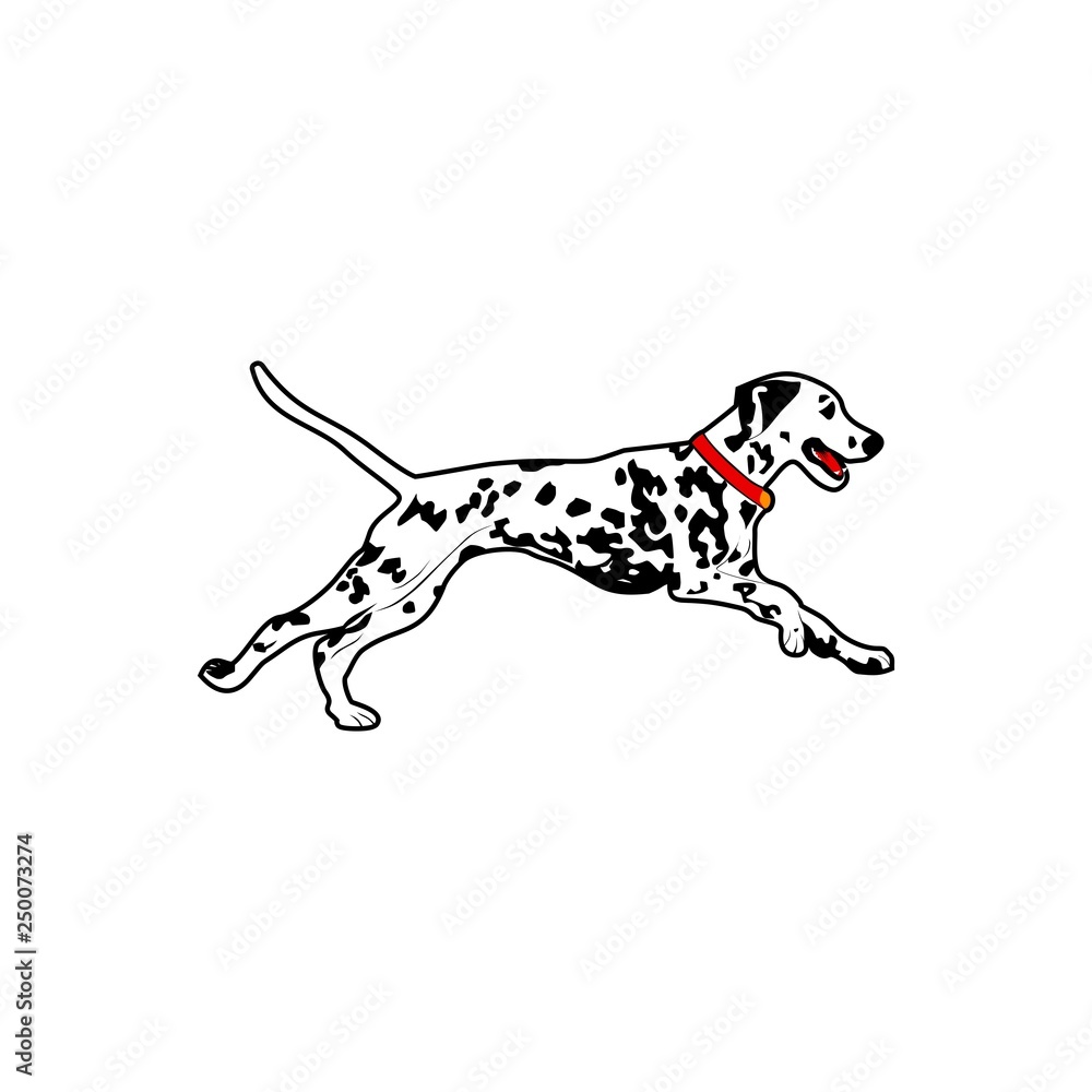 dalmatian dog run vector illustration