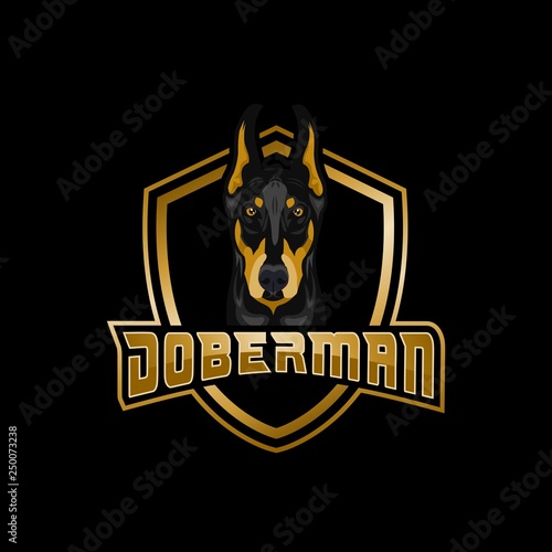 Doberman dog amazing design for your company or brand photo