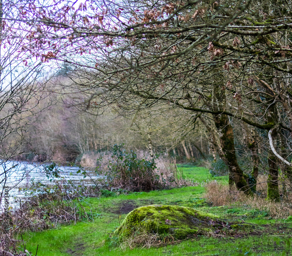Fototapeta premium Canoeing Ireland