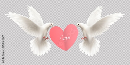 White Pigeons Holding Heart 