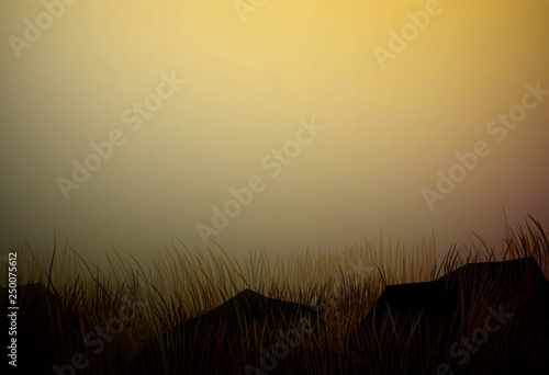 dry field grass with stones, prairie drought landscape, savanna dry hot evening landscape,