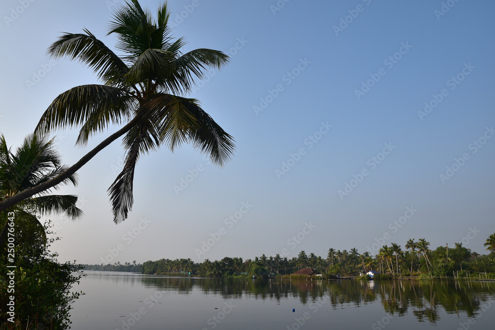 Backwaters dans le Kerala, Inde du Sud