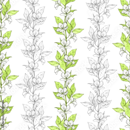 Floral seamless pattern. Watercolor background with white flowers and green leaves