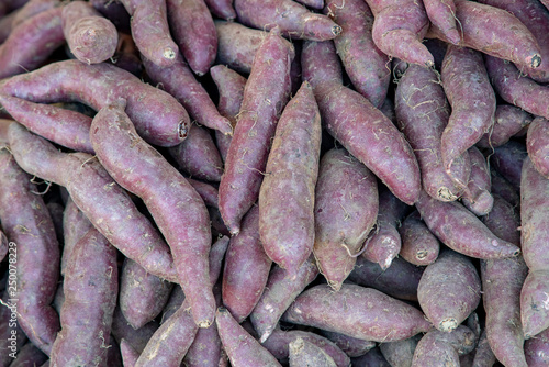 A pile of Japanese sweet potatoes with purple skin that is very healthy for eating.