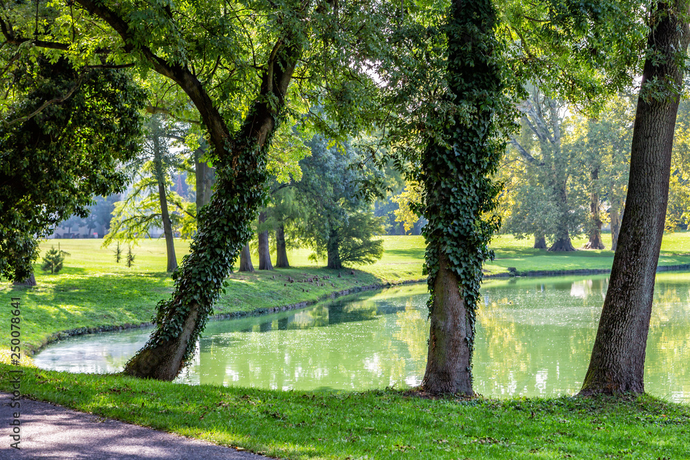 Trees by the lake on a sunny autumn day. Trees by the lake on a sunny autumn day.