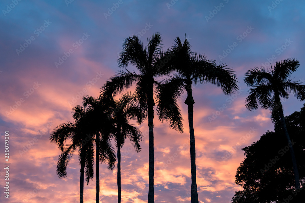 Silhouette von Palmen vor romantischem Sonnenuntergang auf tropischer Insel