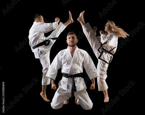 Three martial arts masters