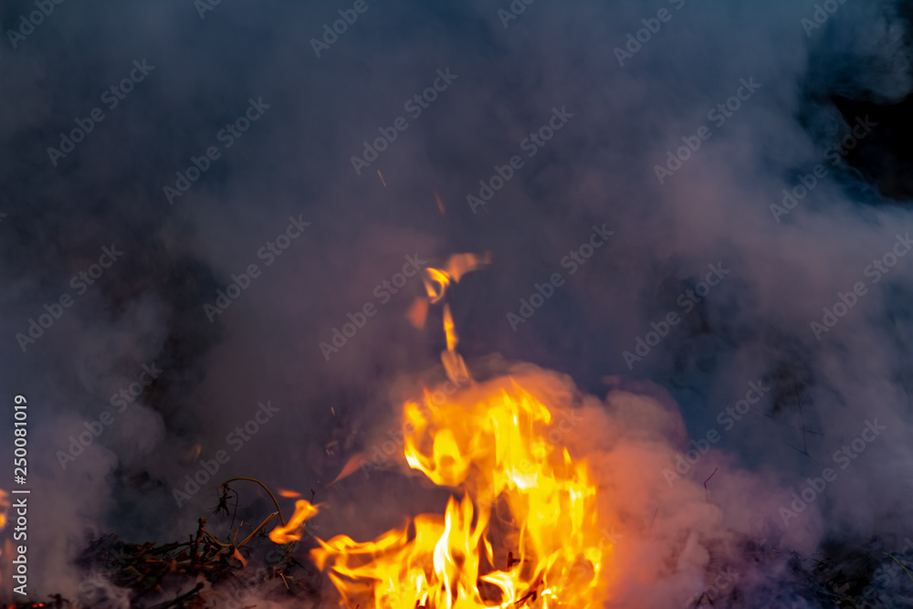 Forest wildfire at night whole area covered by flame and clouds of dark smoke. Distorted details due high temperature and evaporation gases during combustion