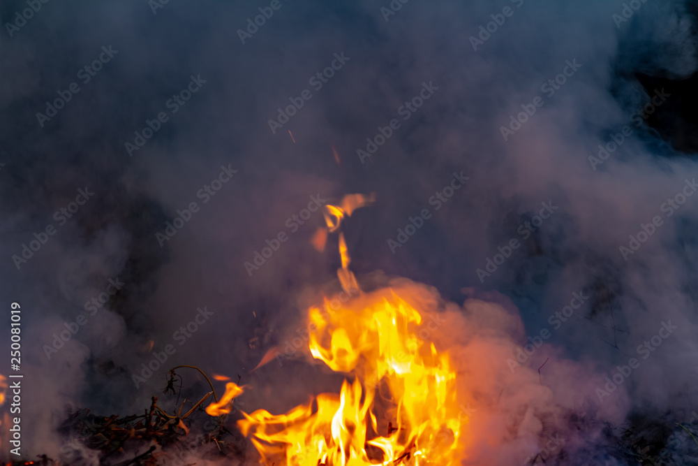 Forest wildfire at night whole area covered by flame and clouds of dark smoke. Distorted details due high temperature and evaporation gases during combustion Forest wildfire at night whole area covered by flame and clouds of dark smoke. Distorted details due high temperature and evaporation gases during combustion