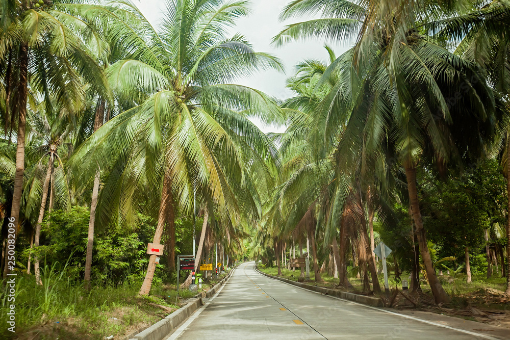 Empty modern road among the green tropical jungle with coconuts trees on the Koh Phangan island, Thailand. Empty modern road among the green tropical jungle with coconuts trees on the Koh Phangan island, Thailand.