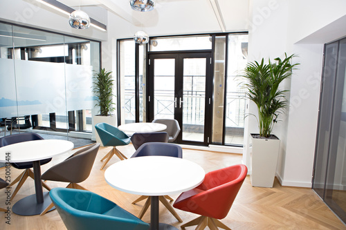 office, office space, office plants 