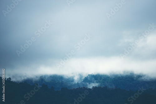 Fog on the mountain in the tropical forest of Thailand.