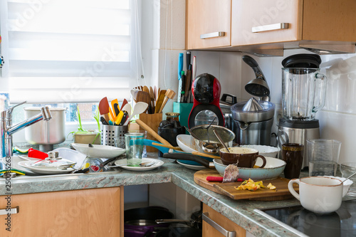 Compulsive Hoarding Syndrom - messy kitchen photo