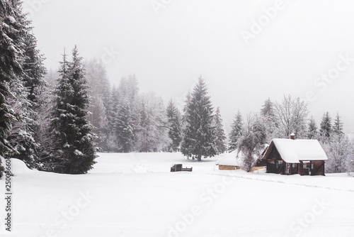 Snowy mountain landscape with rural house and woods. © Djordje
