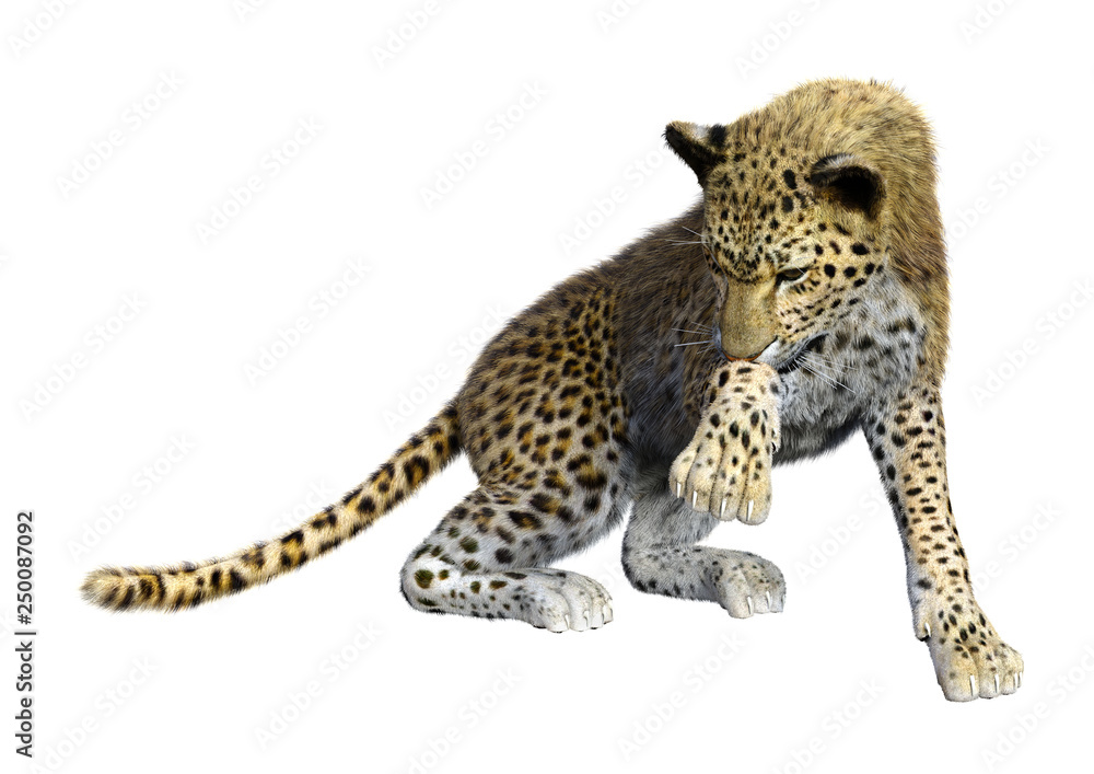 Naklejka premium 3D Rendering Big Cat Leopard on White