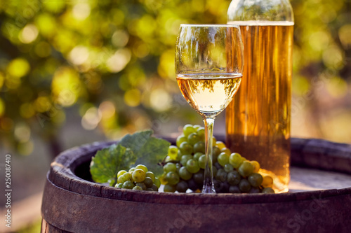 The glass of white wine with bottle on a wooden barrel in a sunny day