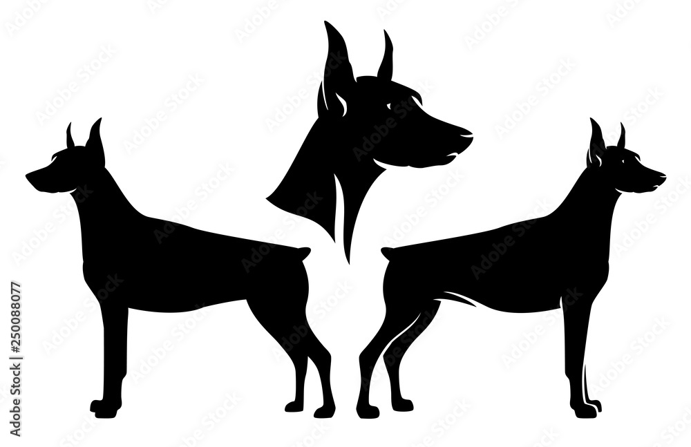 standing side view doberman pinscher and dog profile head - black and white vector design set
