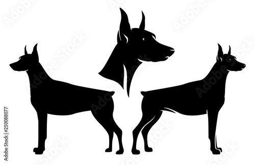 standing side view doberman pinscher and dog profile head - black and white vector design set