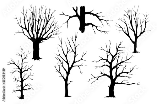 Trunks of trees vector silhouette set