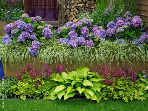 A modern environmental garden with a raised bed with Hydrangias and Stipa