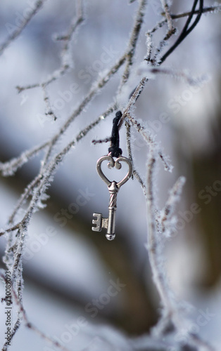 Key on winter branch © Елизавета Кожевников