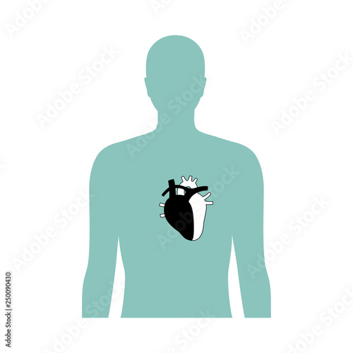 Vector isolated illustration of heart