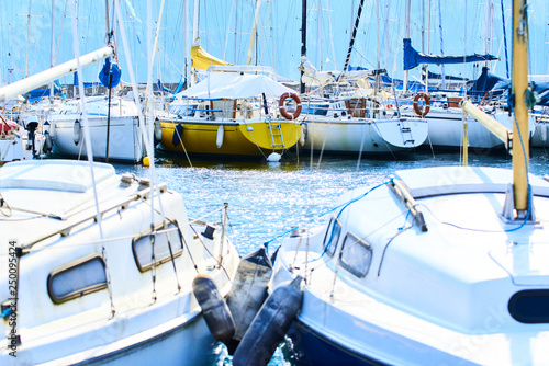 Sailboat harbor  Close up of many beautiful moored sail yachts and boats in the sea port  modern water transport  summertime vacation