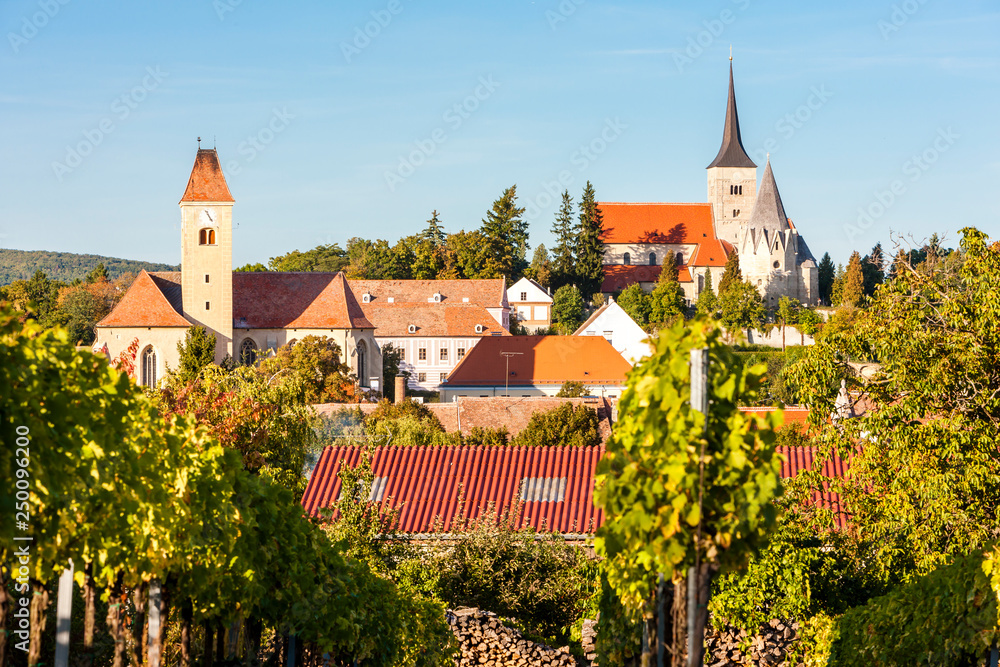 Obraz premium vineyard and Pulkau, Austria